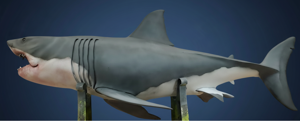 Shark replica with dark blue gradient background