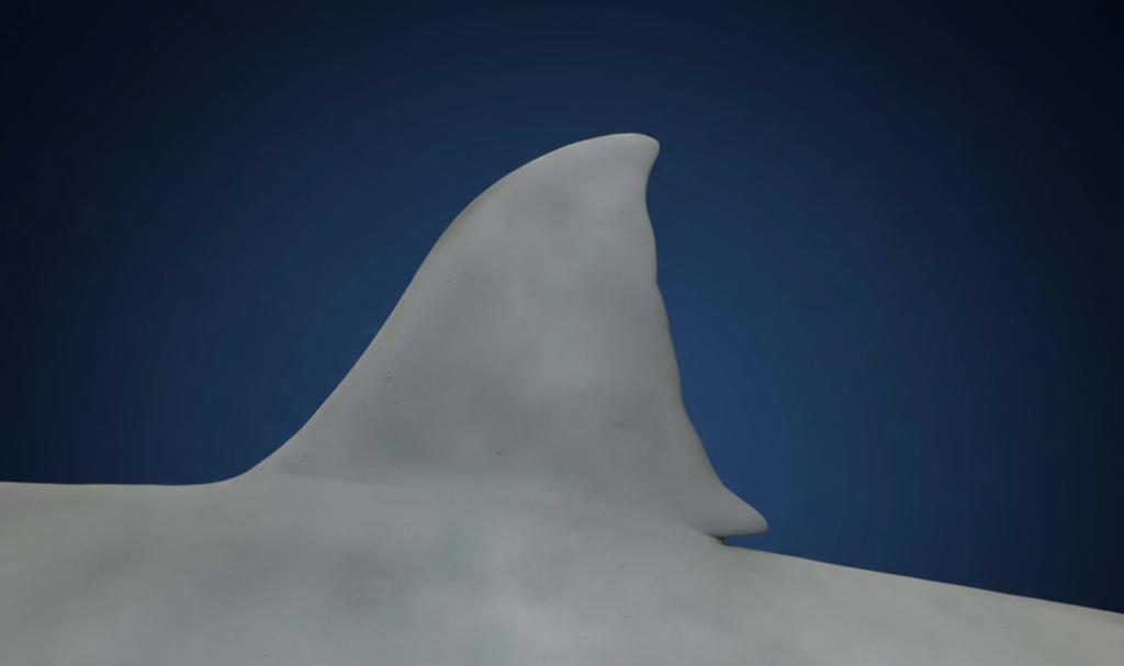 Shark with dark blue gradient background